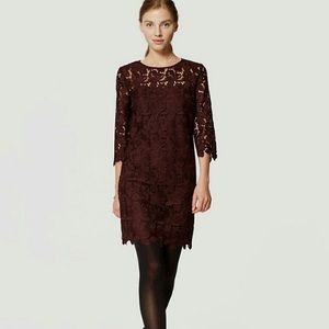 Loft burgundy lace shift dress 00P